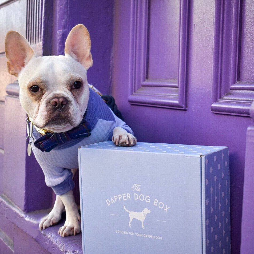 Dapper Dog Heavy Chewer Subscription Box