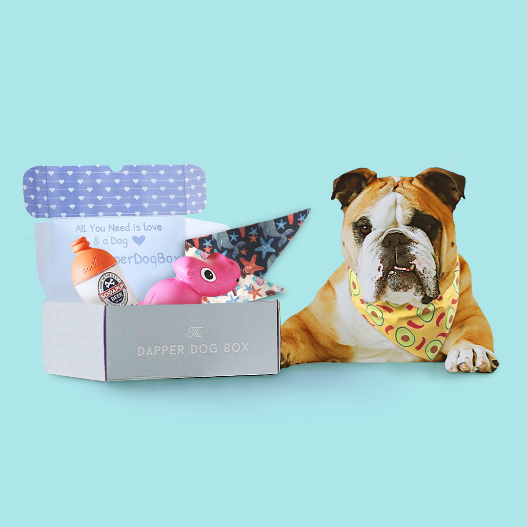 Dapper Dog Toy And Bandana Heavy Chewer Subscription Box (No Treats)