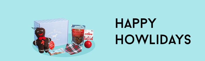 Happy Holidays Christmas Gift Box