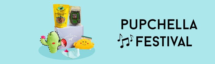 Dog Subscription Box Theme Pupchella Music Festival