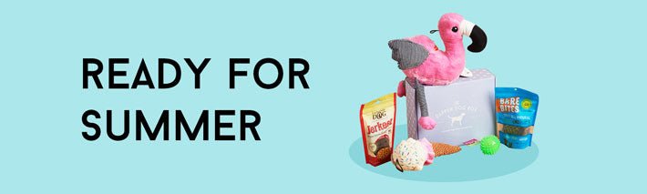 Ready for Summer Monthly Dog Box Theme
