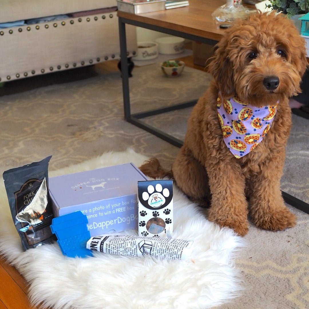 Breakfast in Bed Box - The Dapper Dog Box