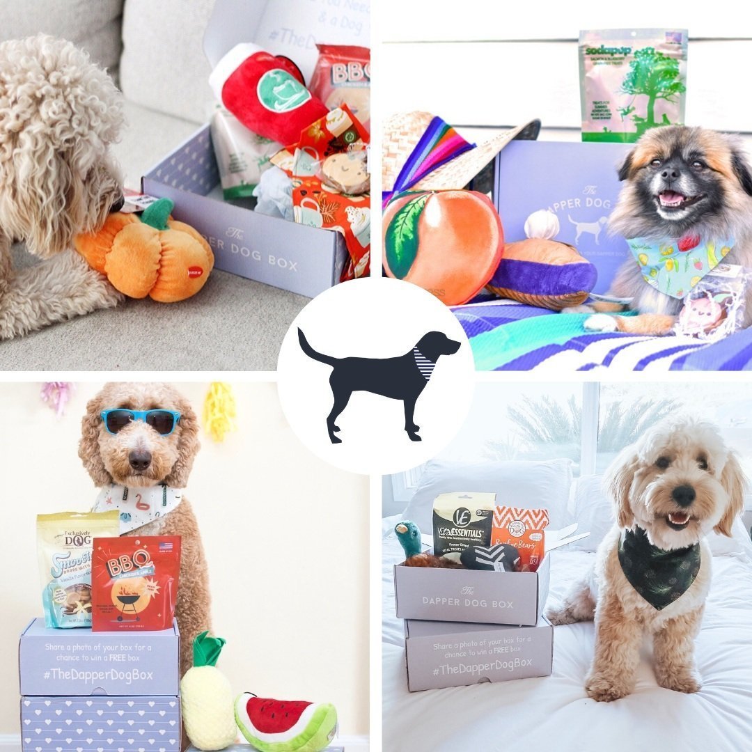 Dapper Dog Standard Subscription Box - The Dapper Dog Box