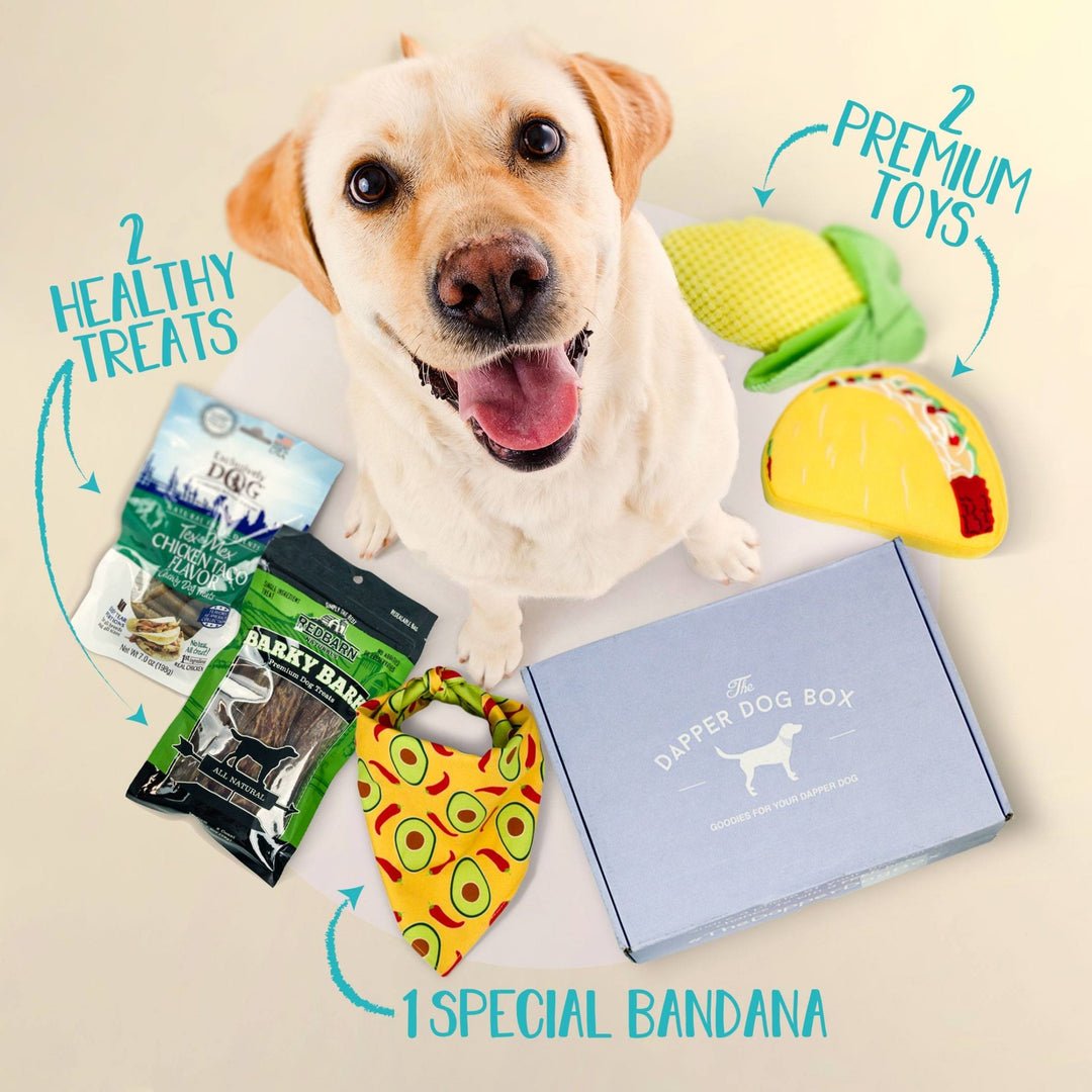Dapper Dog Standard Subscription Box - The Dapper Dog Box