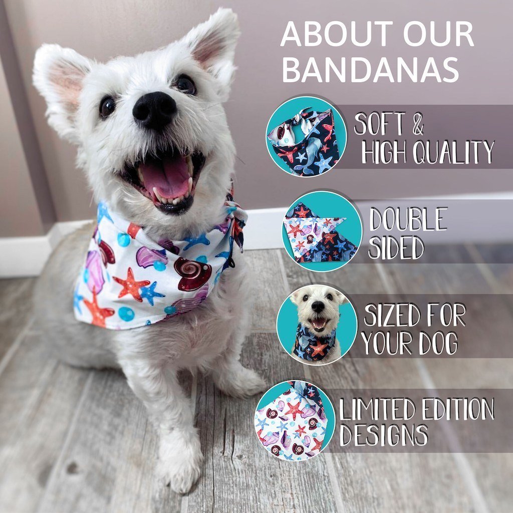 Dapper Dog Standard Subscription Box - The Dapper Dog Box