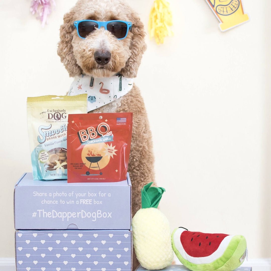 Dapper Dog Standard Subscription Box - The Dapper Dog Box