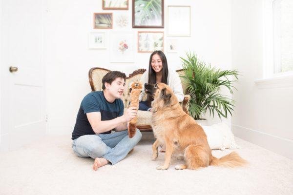 Jigglerz® - Chipmunk - A New Way to Squeak! - The Dapper Dog Box